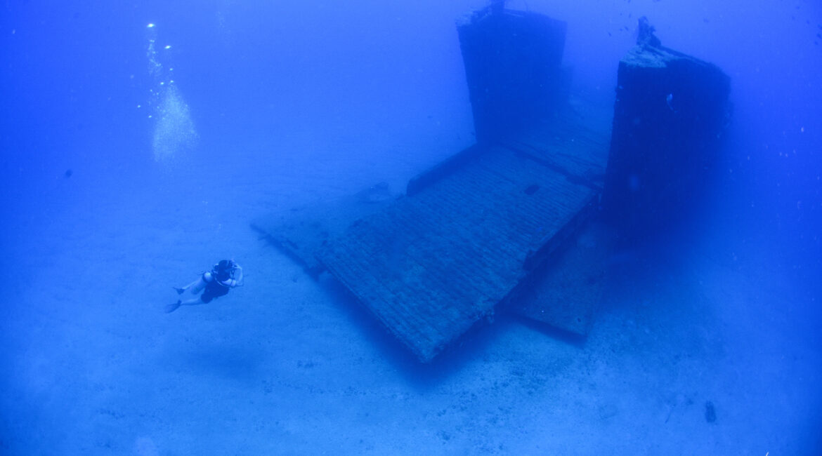 scuba diving brasil