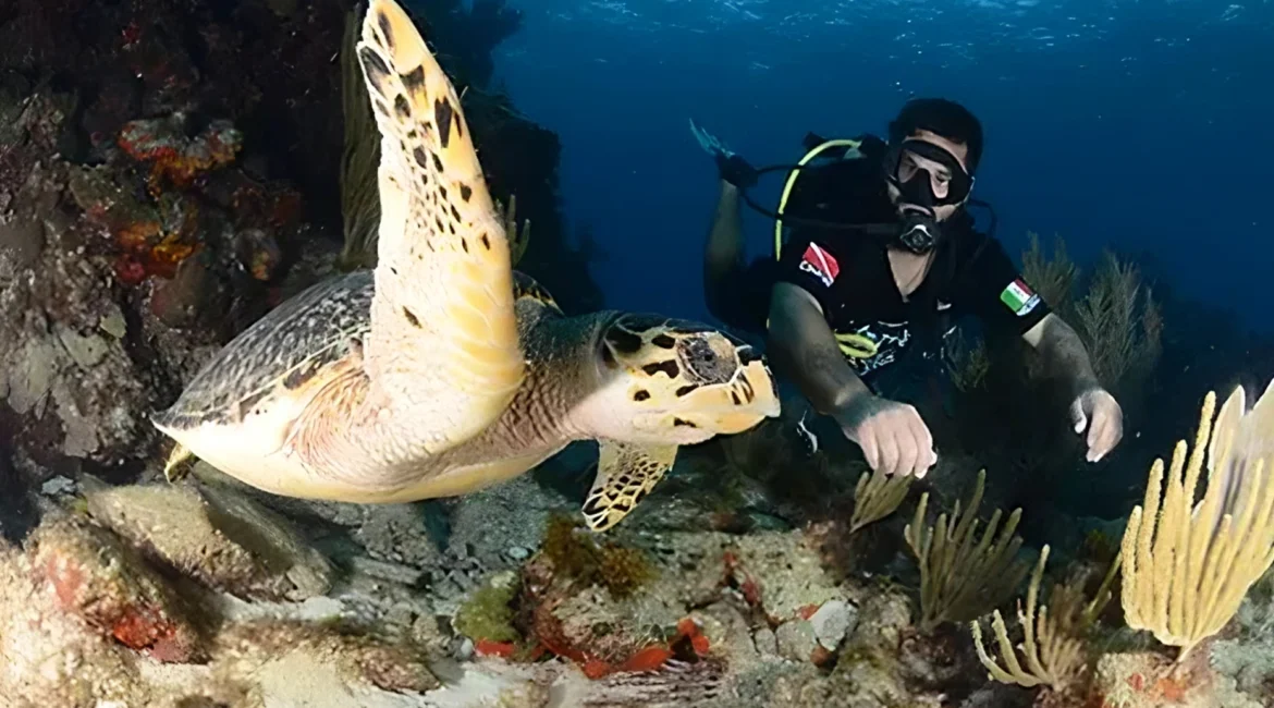 mascara de buceo